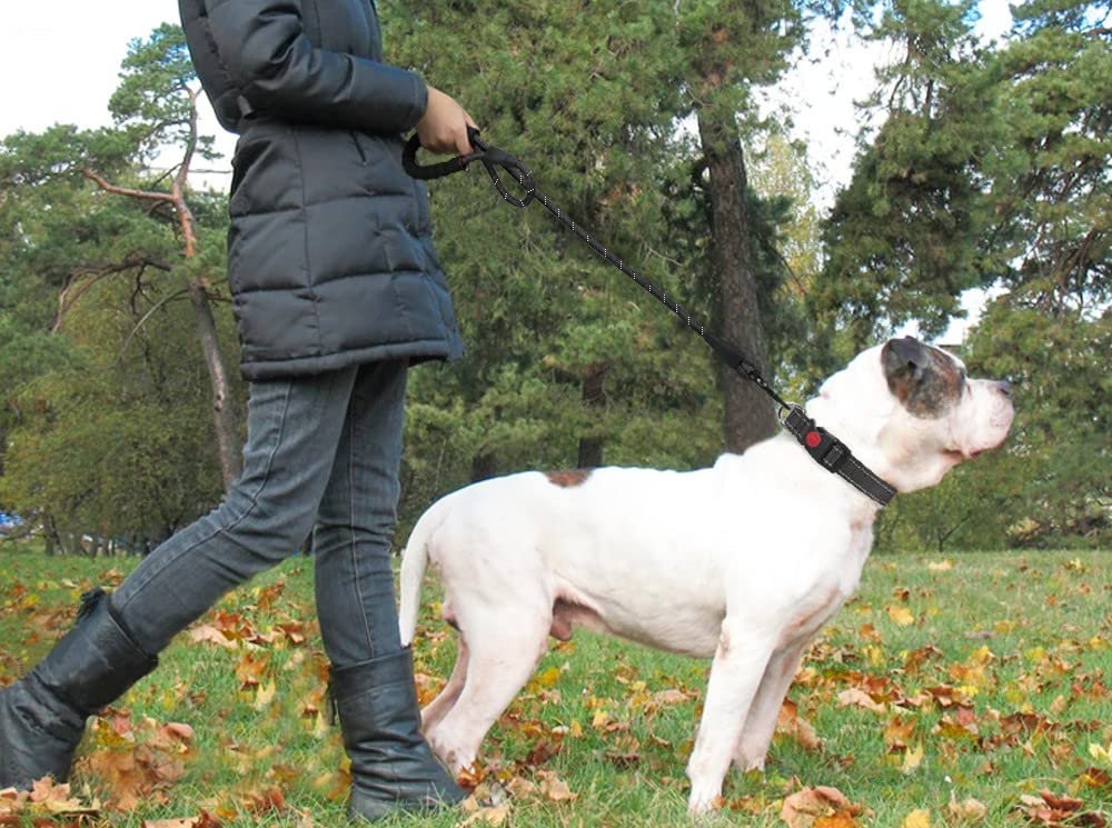 Elastic Hands-Free Dog Leash with Waist Belt