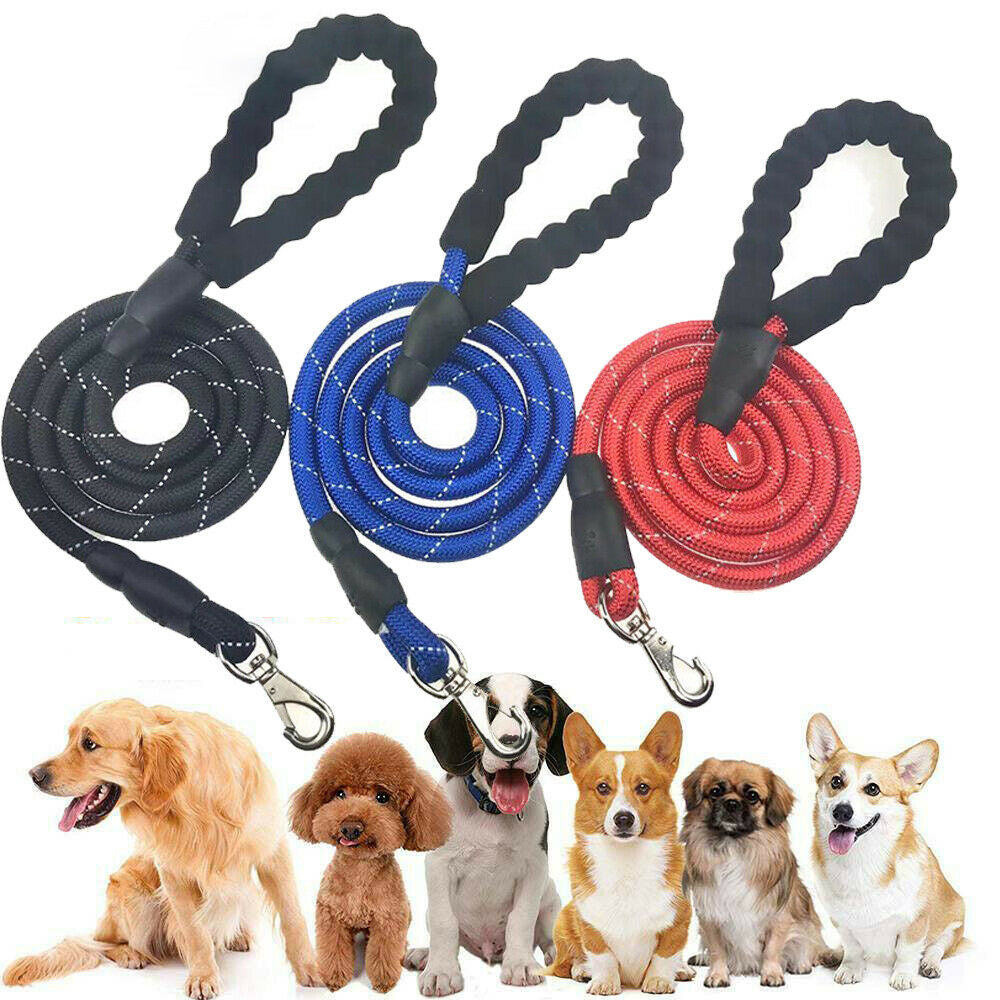 Elastic Hands-Free Dog Leash with Waist Belt