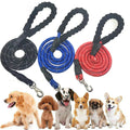 Elastic Hands-Free Dog Leash with Waist Belt