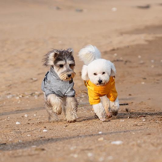 Milou & Lumi Dog Waterproof Reflective Jacket with Harness
